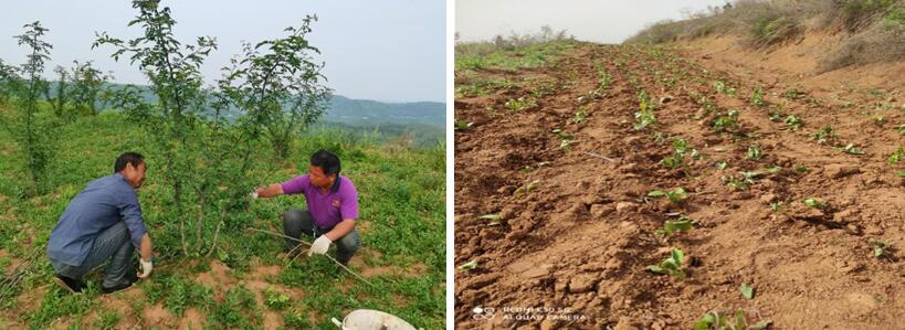 191621409069320783.jpeg QQ截图20210517111206.jpg